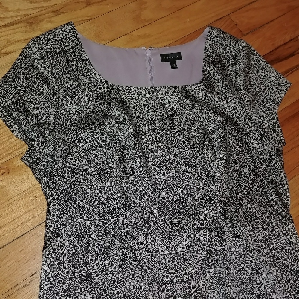 The Limited Spring Dress View 2